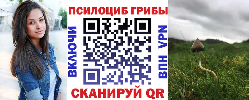 Псилоцибиновые грибы прущие грибы  Карабаново 